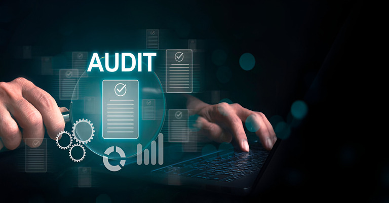internal audit data analysis